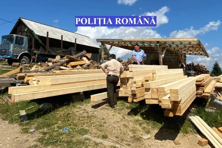 Cluj: Au furat lemn în valoare de peste 5.000 de lei și au fost prinși - FOTO