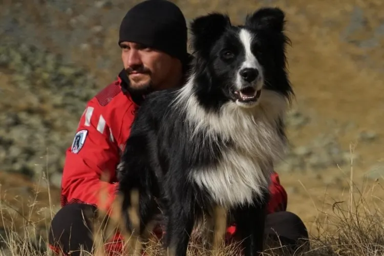 Singurul câine de salvare montană, lovit cu piciorul de o turistă și aruncat în jnepeni