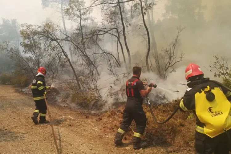Pompierii clujeni care au ajutat la stingerea flăcărilor din Grecia au fost înaintați în grad - VIDEO