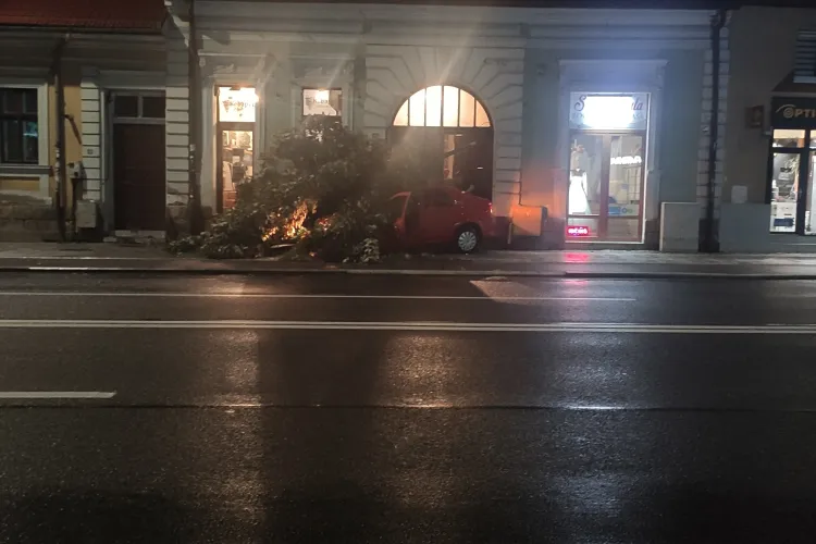 Vitezomanul Gică a ”măturat” un copac pe strada Calea Moților - FOTO