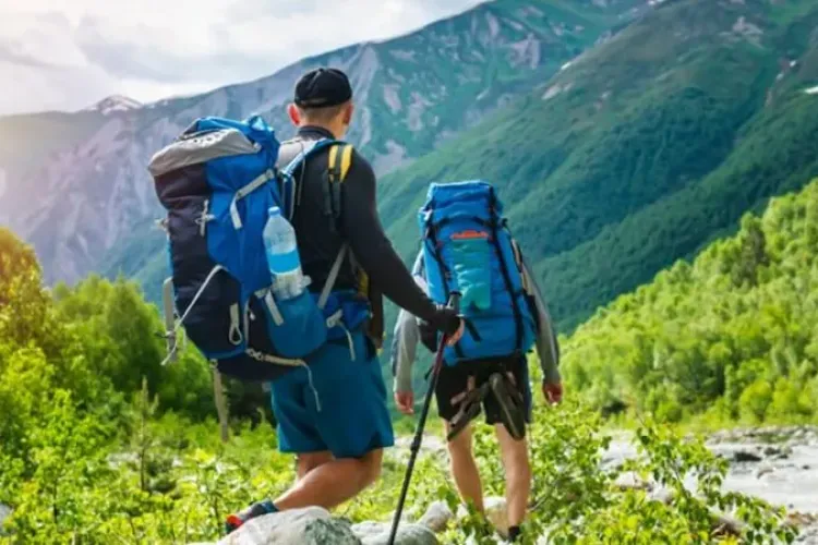 Mergem la munte și ne întâlnim cu ursul. Ce facem? 11 sfaturi utile oferite de Salvamont România