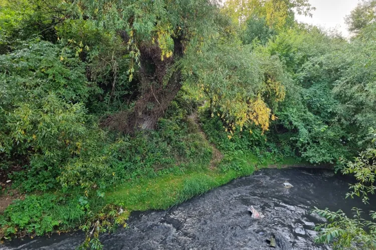 Pârâul Nadăș, din cartierul Dâmbu Rotund, mirosea infernal după ploaia de marți - VIDEO