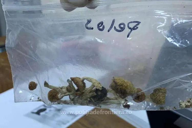 Un american, care a venit pentru Untold, a fost prins în aeroport cu substanțe halucinogene - FOTO