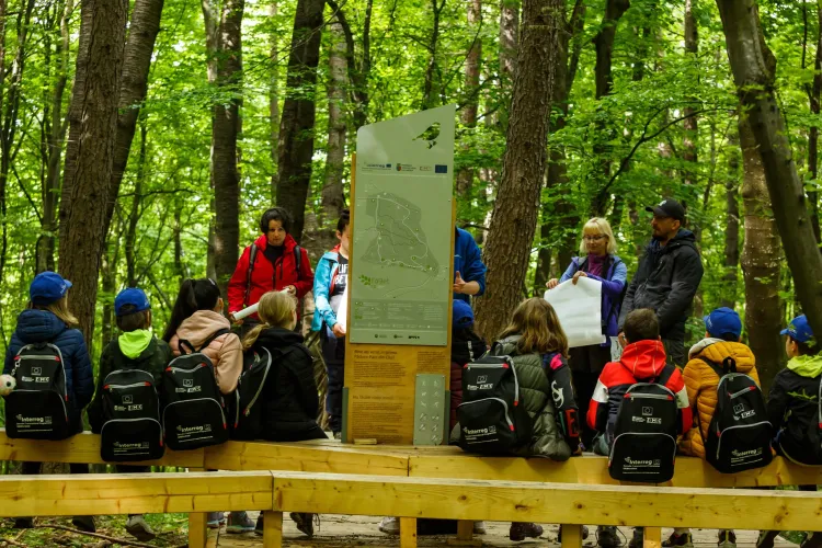 Pădurea-parc Făget, un nou spațiu de relaxare lângă Cluj-Napoca