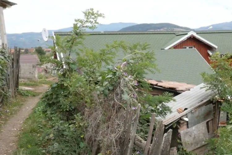 Un băieţel de 10 ani din Alba, ademenit şi violat de un bărbat într-o anexă gospodărească 