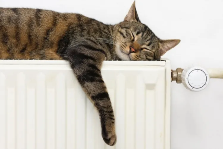 Ajutor încălzire 2021. Acte necesare şi procedura de depunere a cererii