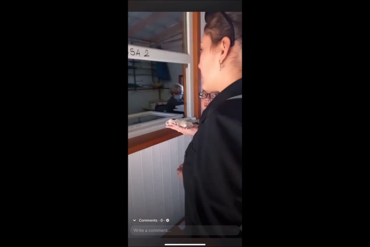 Scandal la Moara de Vânt, Sălicea. O turistă s-a dus la îngrijitori cu un animal mort și a primit o replică lipsită de umanitate - VIDEO