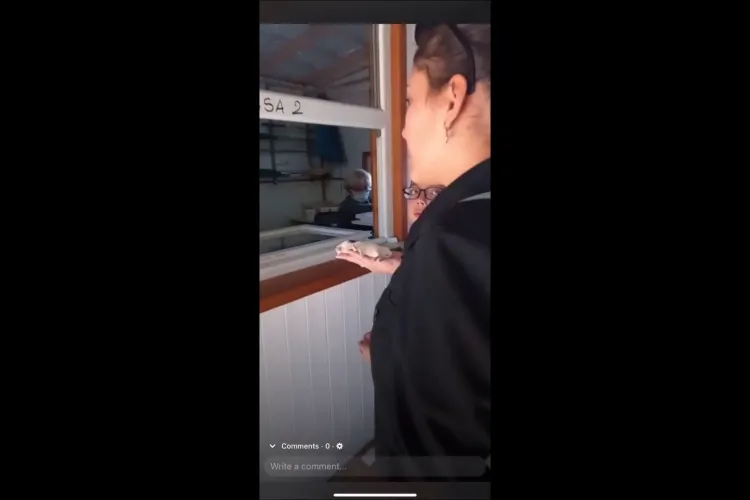 Scandal la Moara de Vânt, Sălicea. O turistă s-a dus la îngrijitori cu un animal mort și a primit o replică lipsită de umanitate - VIDEO