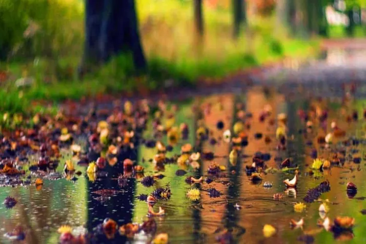 Meteo ANM. Vremea se schimbă radical. Ce temperaturi se vor înregistra în România zilele următoare