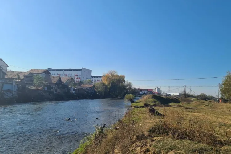 Floreștiul a adunat 114 tone de pe malul Someșului - FOTO