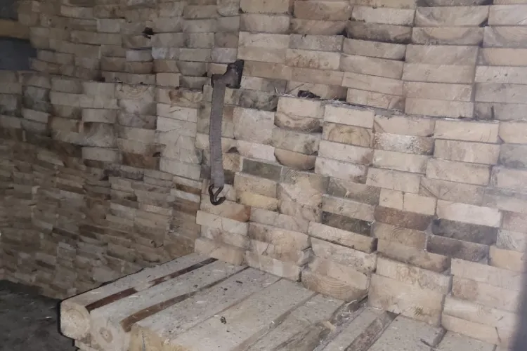 Cluj: Bărbat de 64 de ani prins de polițiști în timp ce transporta lemn tăiat ilegal - FOTO