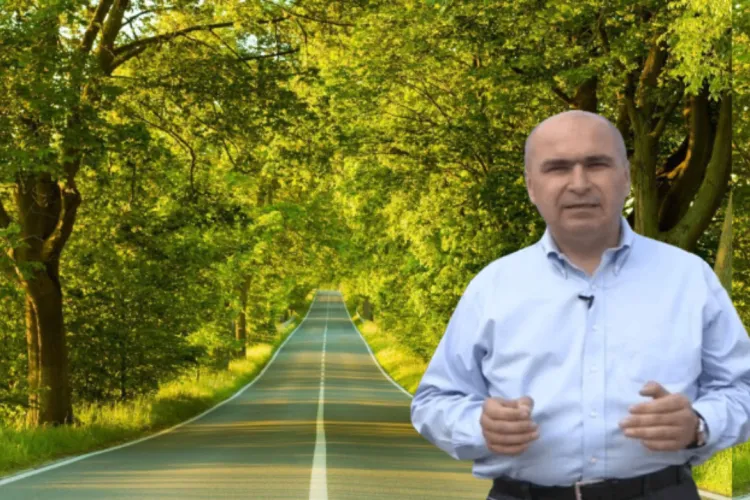 Ilie Bolojan face Bihorul frumos. Lecție pentru alți politicieni! Plantează copaci pe drumurile județene și naționale 