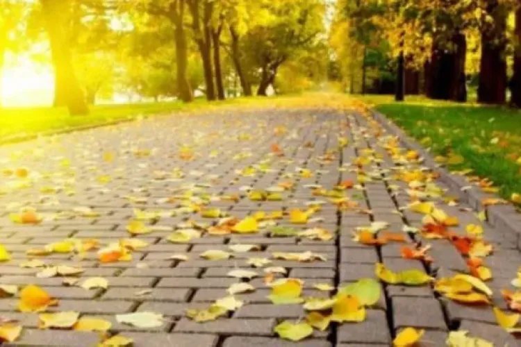 Prognoză meteo noiembrie 2021. Vară în mijlocul toamnei