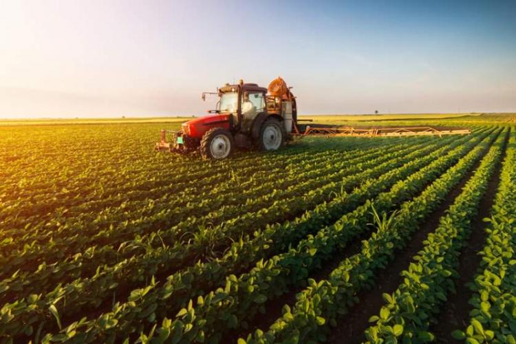 Bugetul aferent plăţilor directe în agrocultură va fi de 13,7 miliarde euro în perioada 2021 – 2027
