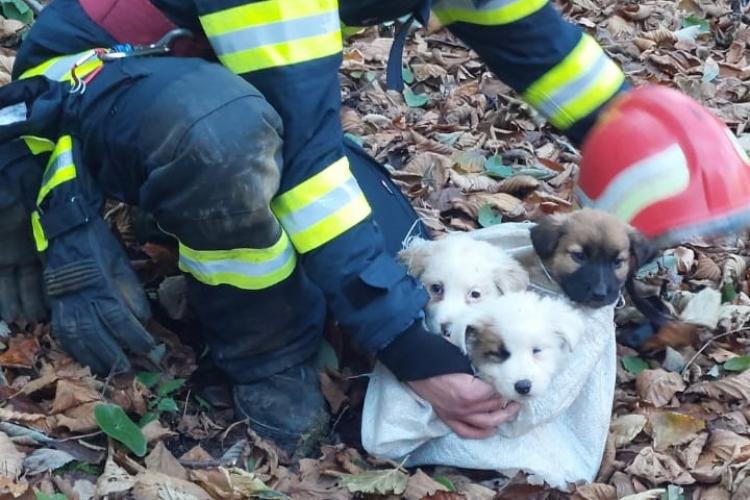 Pui de câine salvați de pompierii din Cluj, dintr-un puț adânc de 30 de metri - FOTO