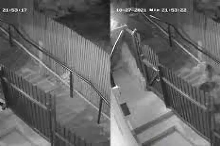 Femeie fugărită de o ursoaică, chiar pe aleea din fața casei! - VIDEO cu întreg momentul