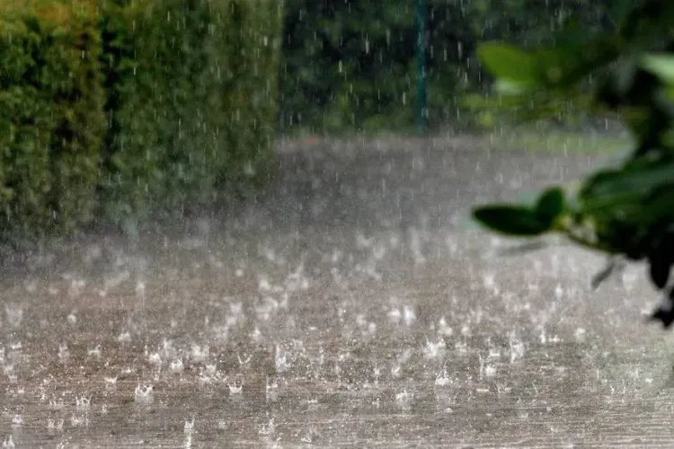 Avertizare meteo cod galben de vânt şi informare de ploi însemnate, în județul Cluj