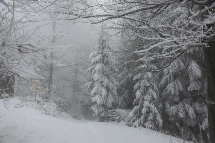  Informare meteo de ploi în mai multe zone din țară. La munte va ninge și se va așterne strat de zăpadă 