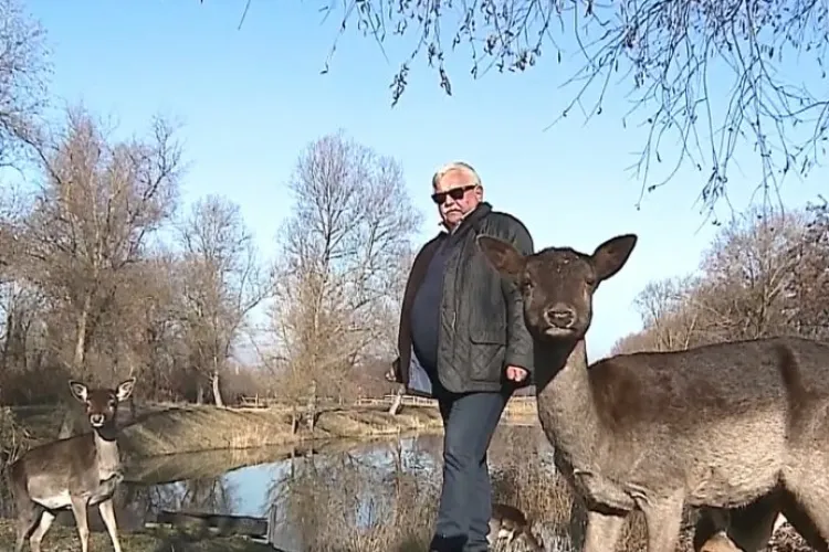 Povestea gospodarului din Mureş care şi-a transformat curtea într-o fermă de cerbi lopătari. Locul se poate vizita gratuit