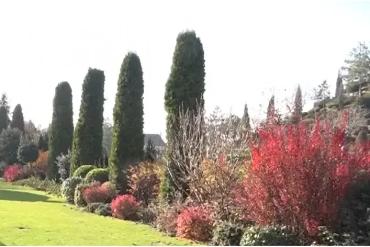 Grădină construită de un italian în Transilvania, spectacol de culori pentru români