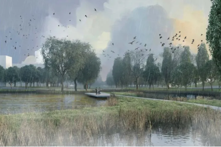 Parcul Est din Cluj-Napoca va avea 50 hectare. Parcul Est va fi un viitor punct de atracție pentru clujeni - FOTO