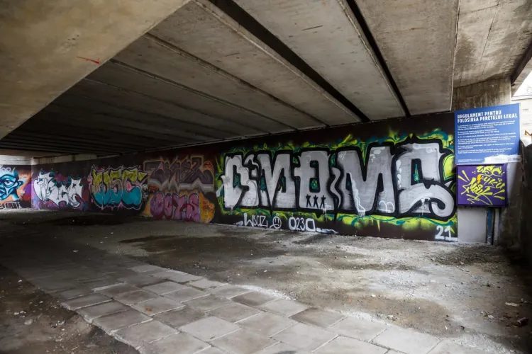 În Cluj-Napoca, artiștii stradali își pot expune arta pe peretele legal pentru artă stradală, de sub podul Aurel Vlaicu - FOTO