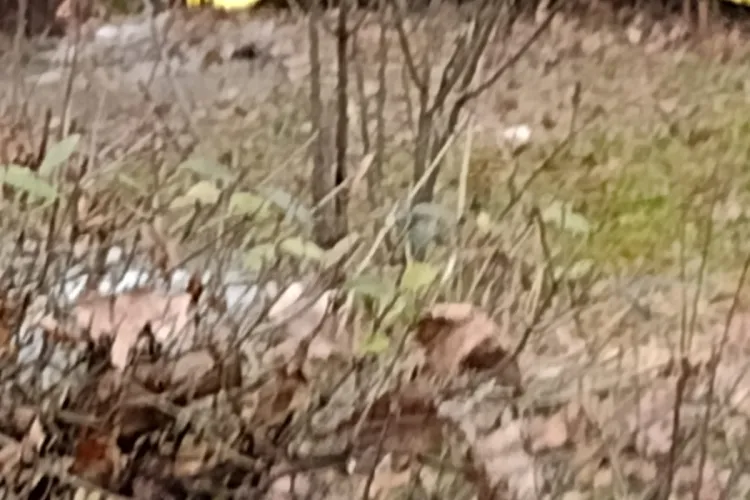 Sinucidere lângă Iulius Mall Cluj, în zona stației de autobuz. Detalii șocante - FOTO