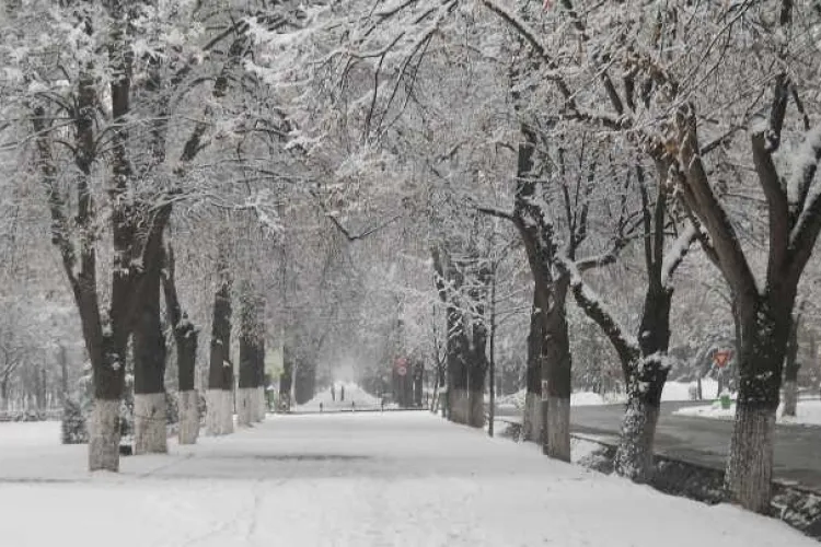  Cum va fi vremea în următoarele două săptămâni și unde va ninge. Prognoza meteo ANM 