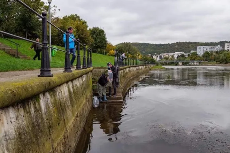 Populare cu scobari și cleni pe Someș, în Cluj-Napoca. Pescarii rugați să nu rețină peștii mici - FOTO