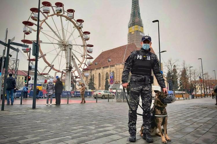 Noa, noua ”frumusețe” a escadronului canin al Poliției Cluj - FOTO