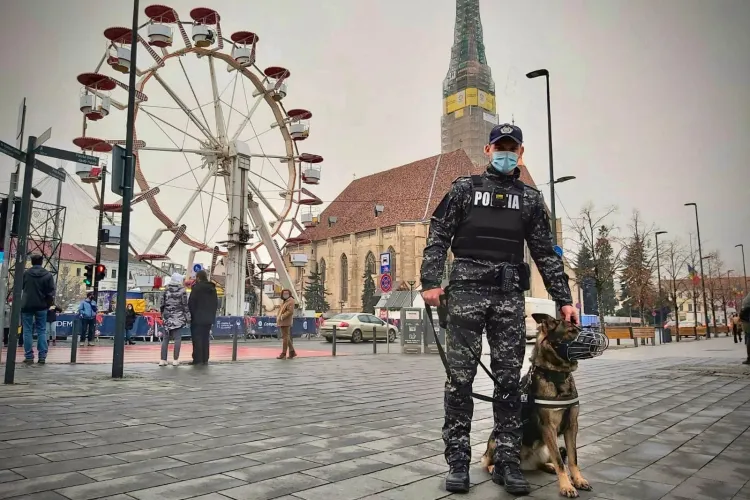Noa, noua ”frumusețe” a escadronului canin al Poliției Cluj - FOTO