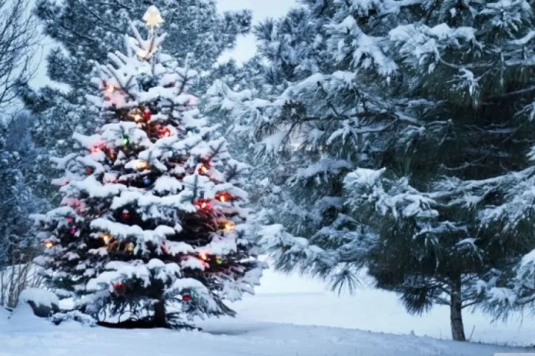 Cum va fi vremea de Crăciun și Revelion. Prognoza meteo pentru următoarele patru săptămâni