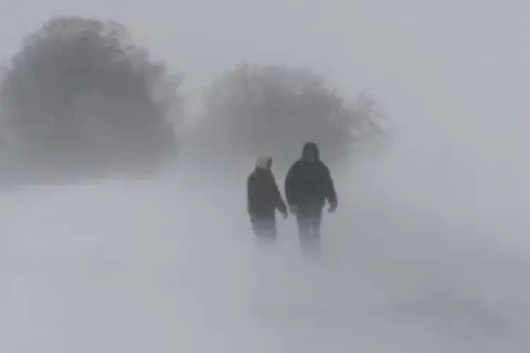 Meteo. Cod Galben de VISCOL în zona montană a județului Cluj