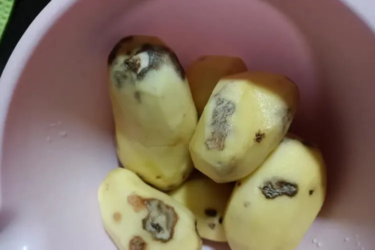 Cluj: A cumpărat MÂNDRĂ cartofi românești, calitatea ÎNTÂI. Acasă a apucat-o furia: Rușine să vă fie! - FOTO și VIDEO