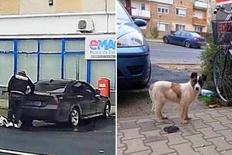 Clujean fără suflet! A scos câinele dintr-un BMW și l-a abandonat pe stradă - FOTO   