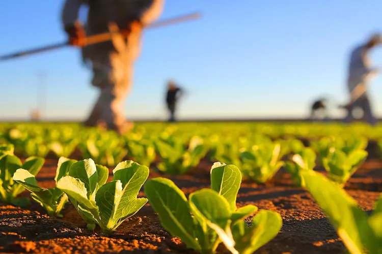 Bani din piatră seacă! DNA Cluj a prins un clujean care a încasat bani pentru terenuri care nu erau ale lui   