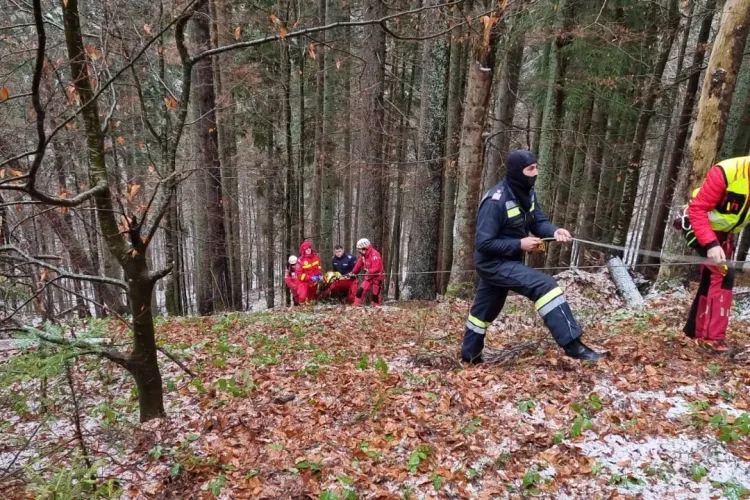 Bărbat omorât de un copac care a căzut peste el. Intervenție dificilă a pompierilor - VIDEO și FOTO