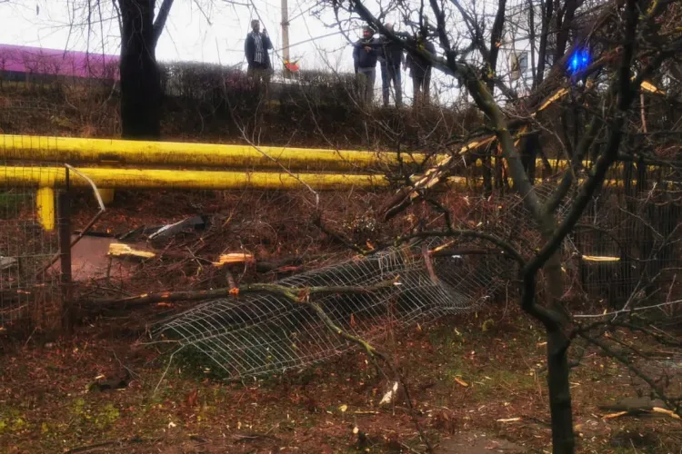 Accident pe strada Aiudului! Un șofer a zburat în curtea unui om - FOTO   