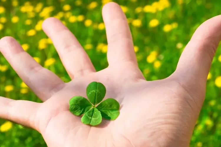 Zodiacul Norocului! Ce zodii sunt norocoase și sunt destinate să câștige