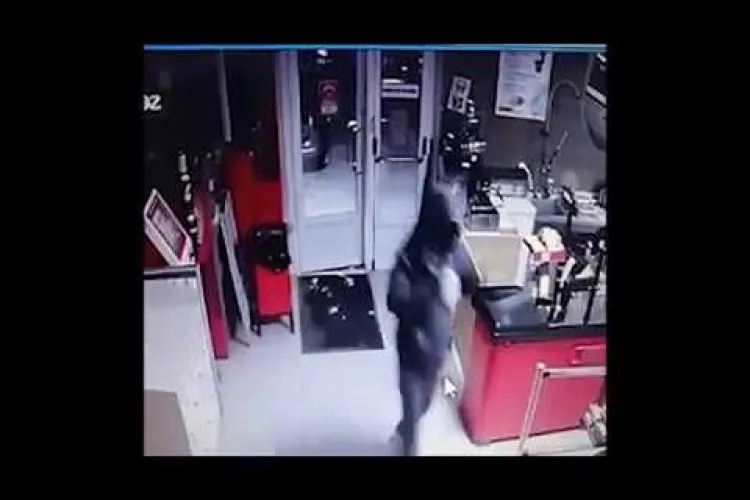 Cinci bărbați au spart supermarketul Profi din Baciu. Frații Rostaș au fost arestați