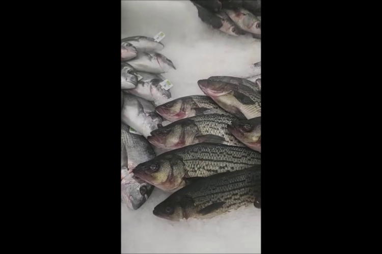 O clujeancă susține că i s-a vândut pește spălat cu clor, într-un supermarket - VIDEO