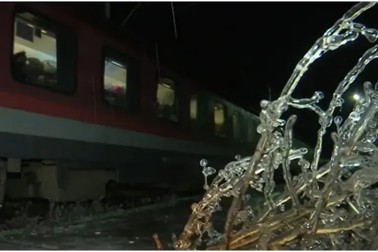 Tren oprit de crengile unor copaci. Zeci de pasageri sunt blocați în frig