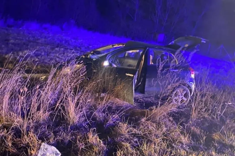 Accident grav la ieșire din Stolna spre Vlaha, jud. Cluj! Bivol lovit de o mașină - VIDEO