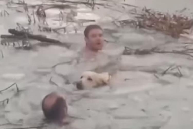 Doi polițiști au sărit în apele înghețate ale unui lac pentru a salva un câine - VIDEO
