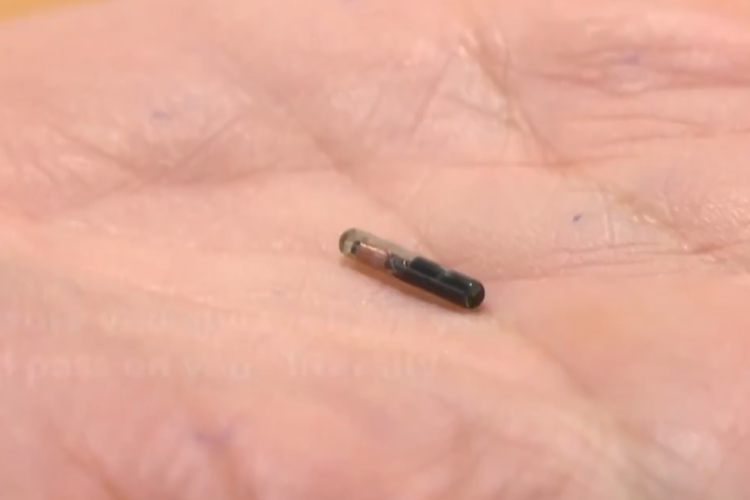 A apărut microcipul care va fi încorporat în brațele oamenilor pentru a proba că suntem vaccinați - VIDEO
