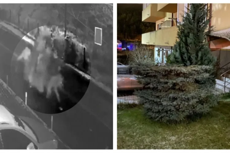 Florești - Au tăiat bradul din fața blocului pentru a avea pom de Crăciun - VIDEO