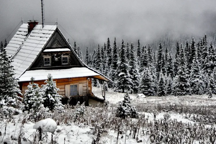 Ministrul Mediului, Tanczos Barna: Dacă la țară am încălzi electric o casă, factura ar fi mai mare ca prețul casei