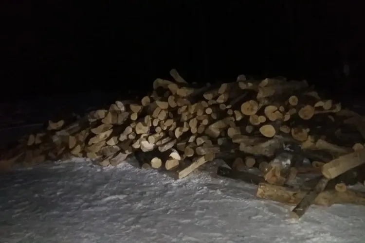  Jandarmii clujeni au depistat două transporturi mici de lemne furate - FOTO