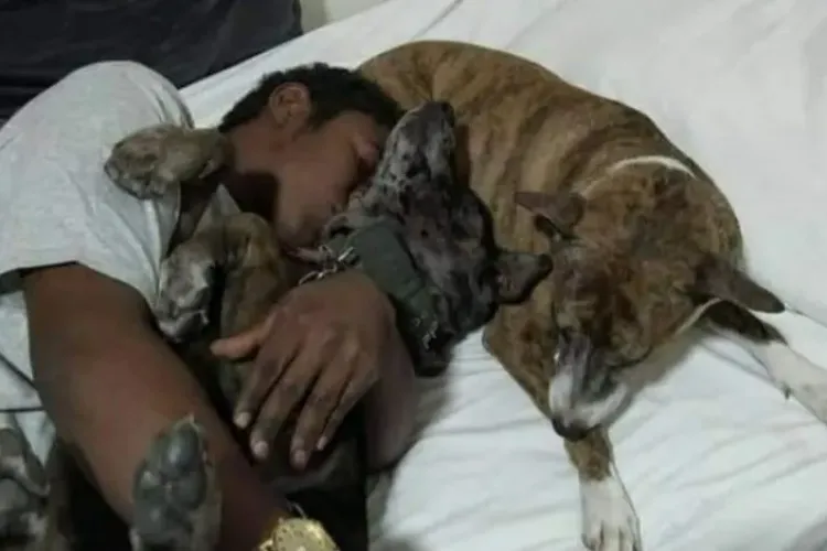 Viața unui tânăr fără adăpost s-a schimbat radical după ce un videoclip cu el și cu câinii săi a devenit viral - VIDEO