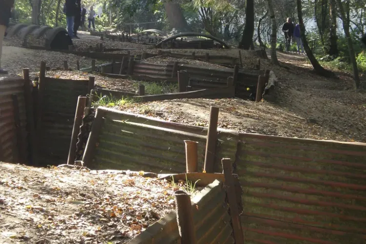 Un deputat român cere săparea unor șanțuri de 4 metri adâncime și 8 metri lățime de-a lungul frontierei flancului estic   